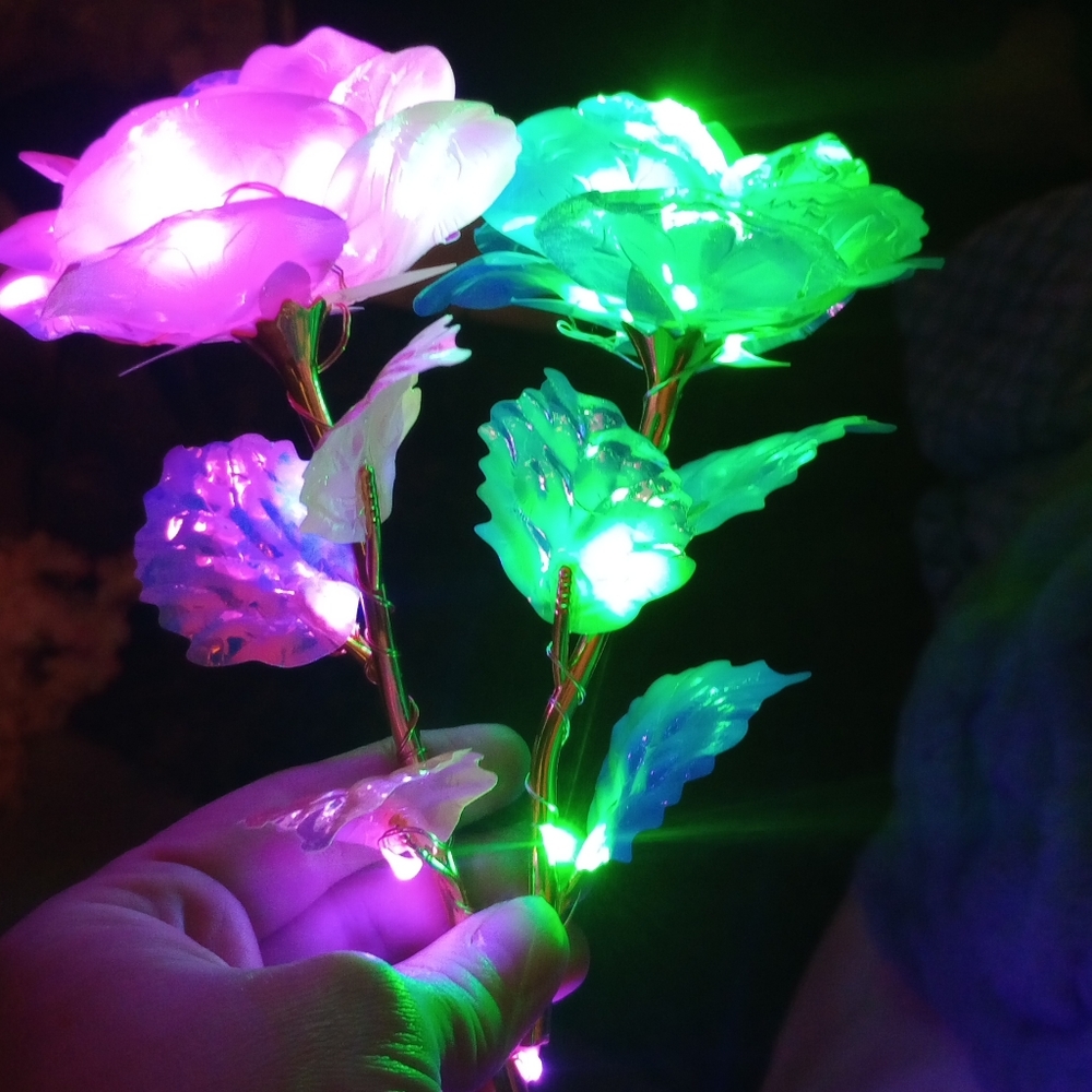 Flowers - Picture 2 of 7